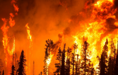 USA´s nye administration sætter klimaet først: “Akut national sikkerhedstrussel”