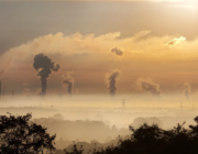 Historisk vendepunkt i udledningen af CO2 sker i 2025 ifølge IEA