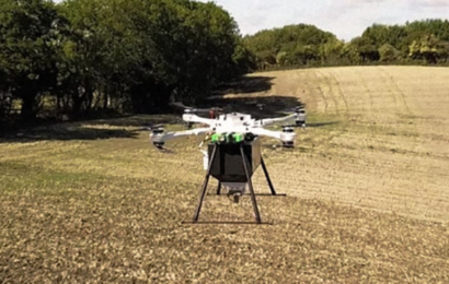 Droner kan plante 400.000 mangrovetræer om dagen og målet er meget større