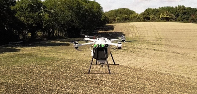 Droner kan plante 400.000 mangrovetræer om dagen og målet er meget større