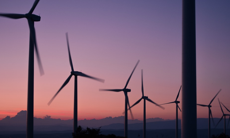 Danmark har næsten ubemærket fået verdens stærkeste klimalov ifølge BBC